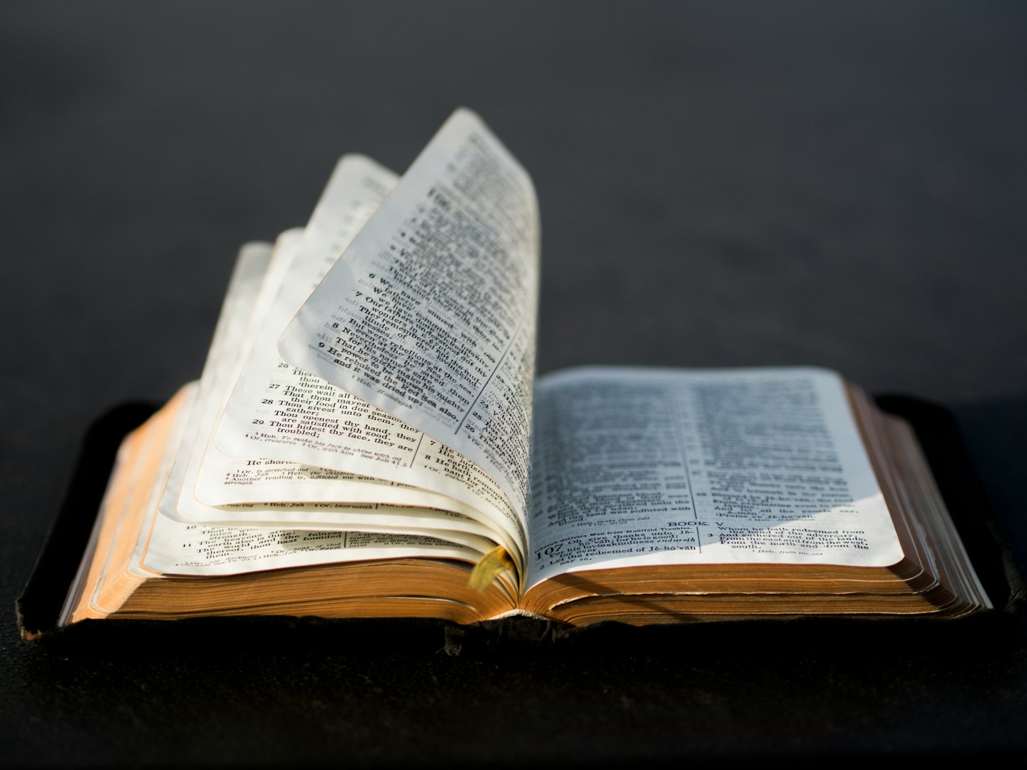 Reflections on the Word