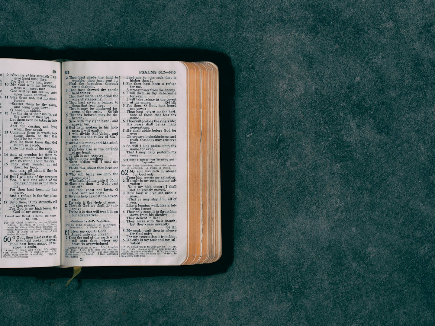 Bible book